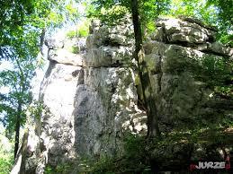 Rezerwat przyrody Zielona Góra