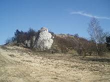 Góra Ossona